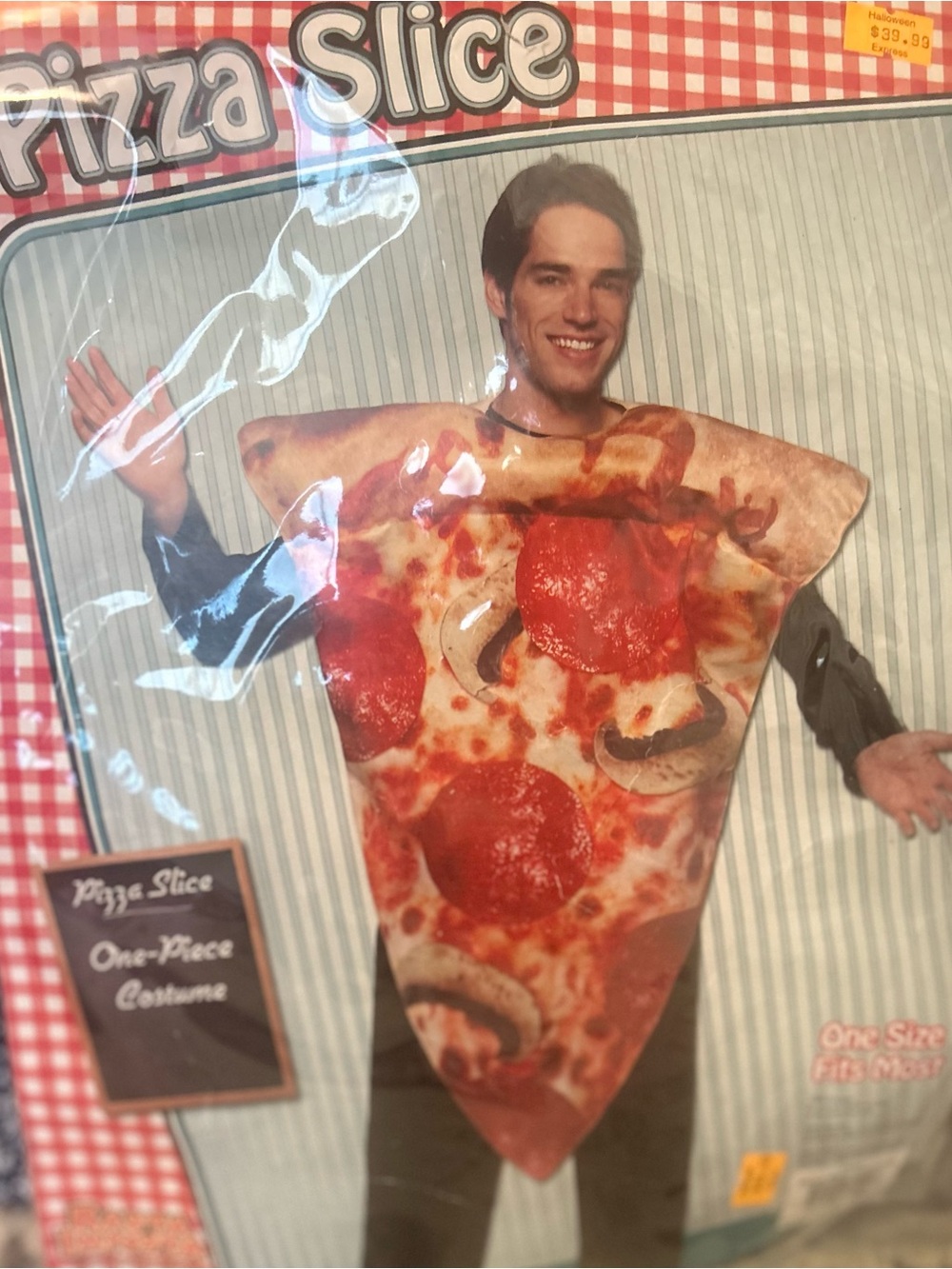 LIKE NEW Pizza Slice Adult Costume